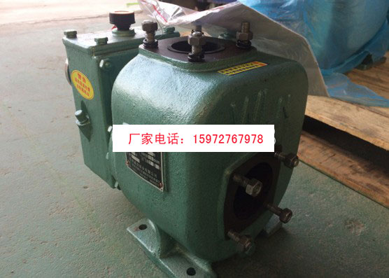 ��������80QZ-60/25N����ʽ�x���ͱÈDƬ