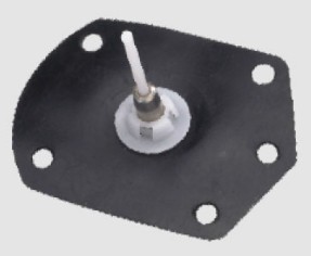 ���͘�ĤƬ�����к��ֱ��M��